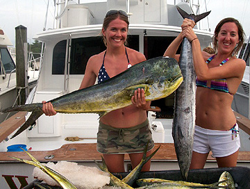 Virginia Beach Dolphins