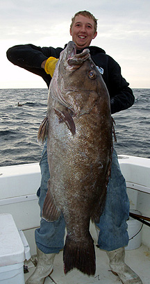 How to Catch Blueline Tilefish