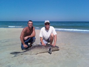 THIS Is What You WANT To Happen When Surf Fishing in the Fall