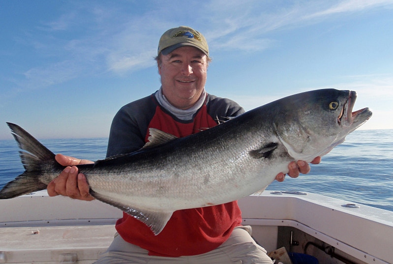 Peninsula Salt Water Sport Fisherman’s Report | Virginia Beach Fishing