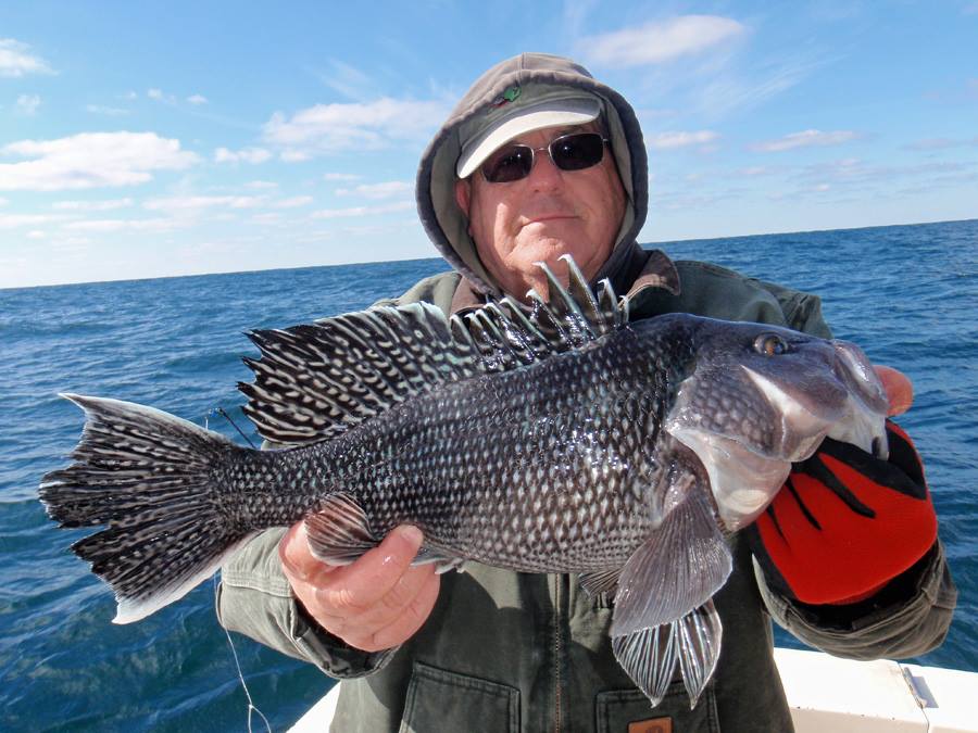 Winter Wreck Fishing for VA Black Sea Bass