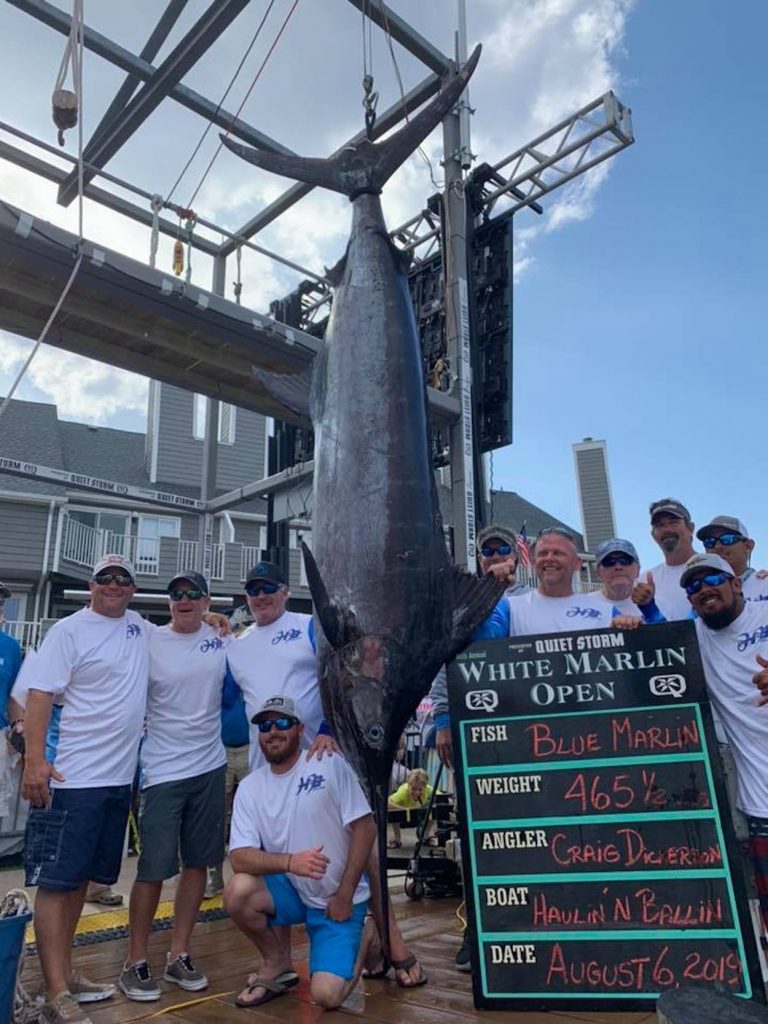 46th Annual White Marlin Open Winners Fishing Reports, News, Charters