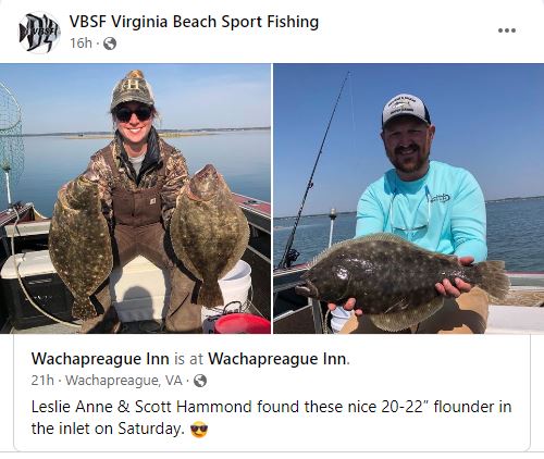 Fishing Report - Flounder Fishing In Wachapreague VA