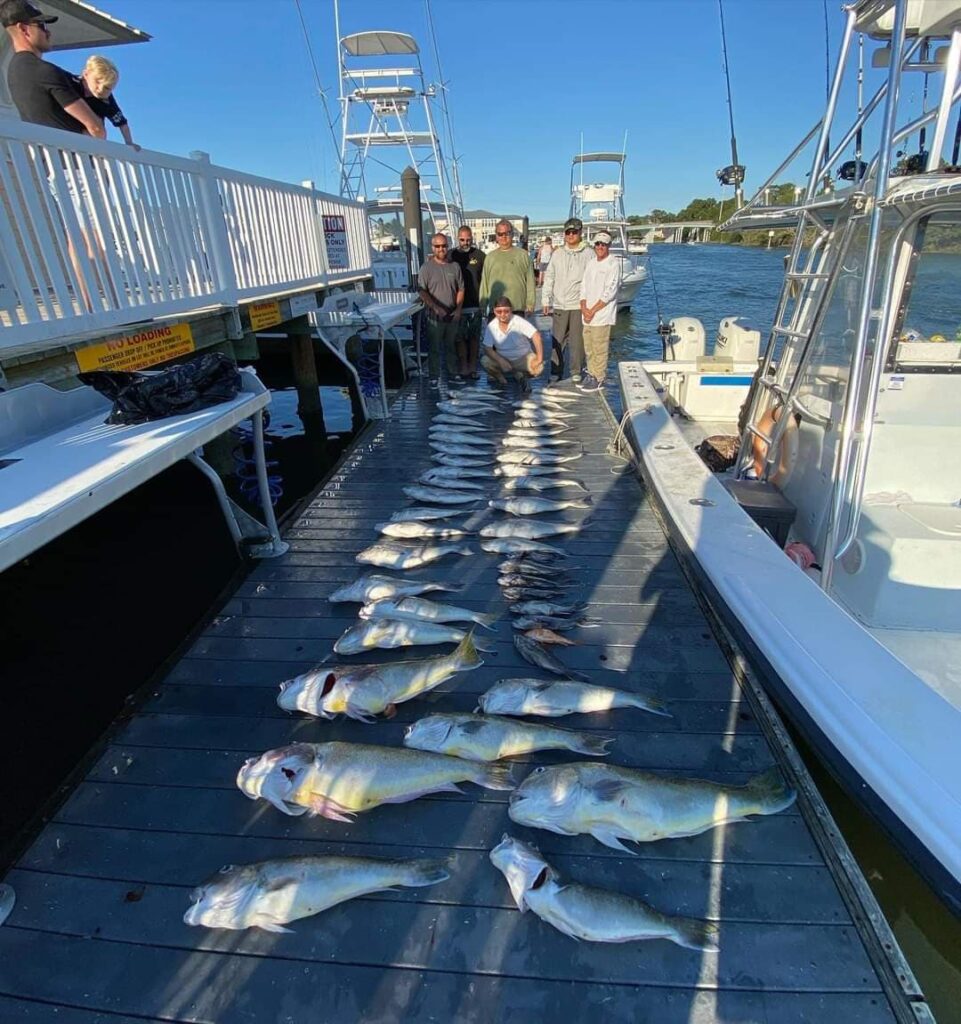 Great Fishing Off Virginia Beach - Fishing Reports, News, Charters