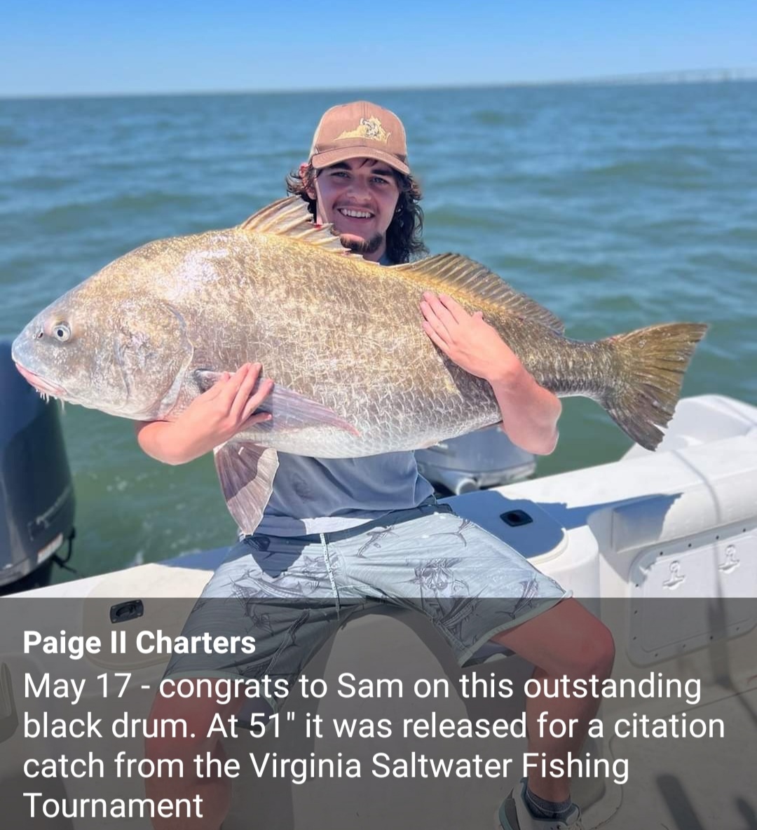 Virginia Beach Fishing Report - Fishing Reports, News, Charters