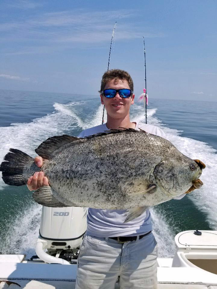 State Record Atlantic Tripletail Certified - Fishing Reports, News, Charters