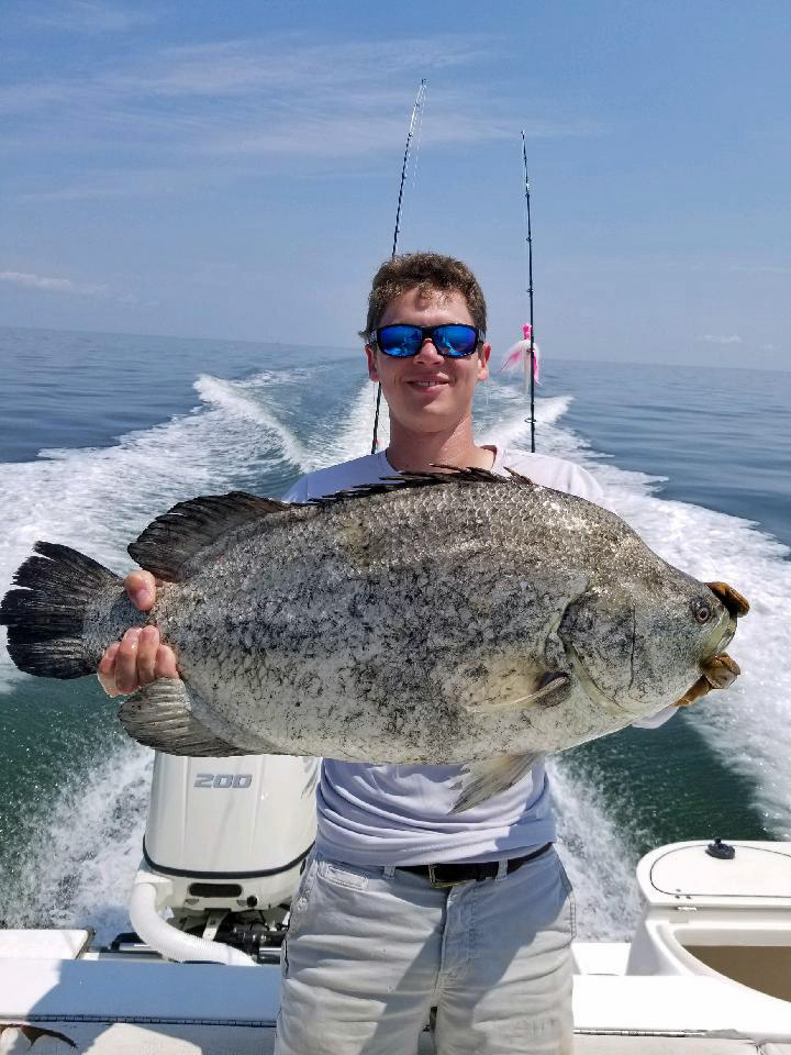 Blue Line Tilefish - The Record-Breaking Giant of the Sea