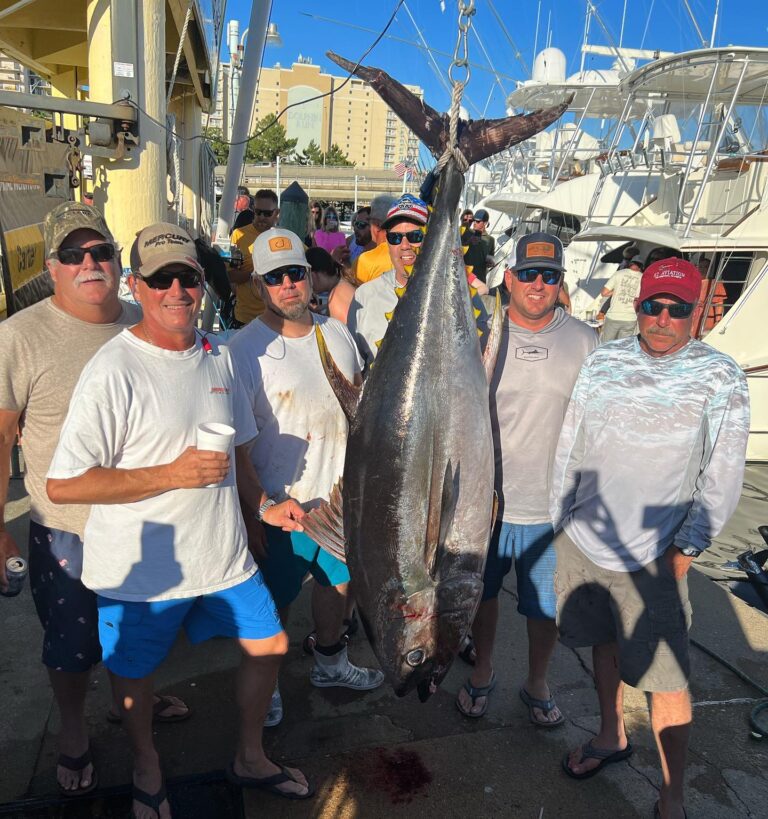 Reports Virginia Beach Fishing