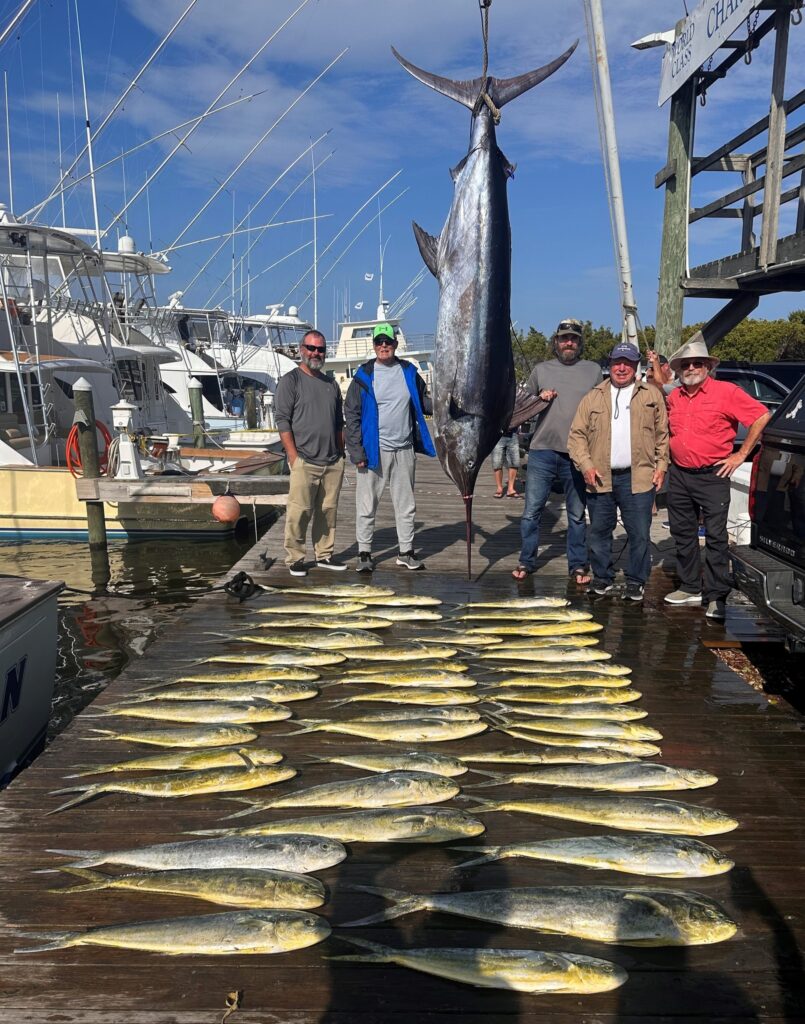 OBX marlin