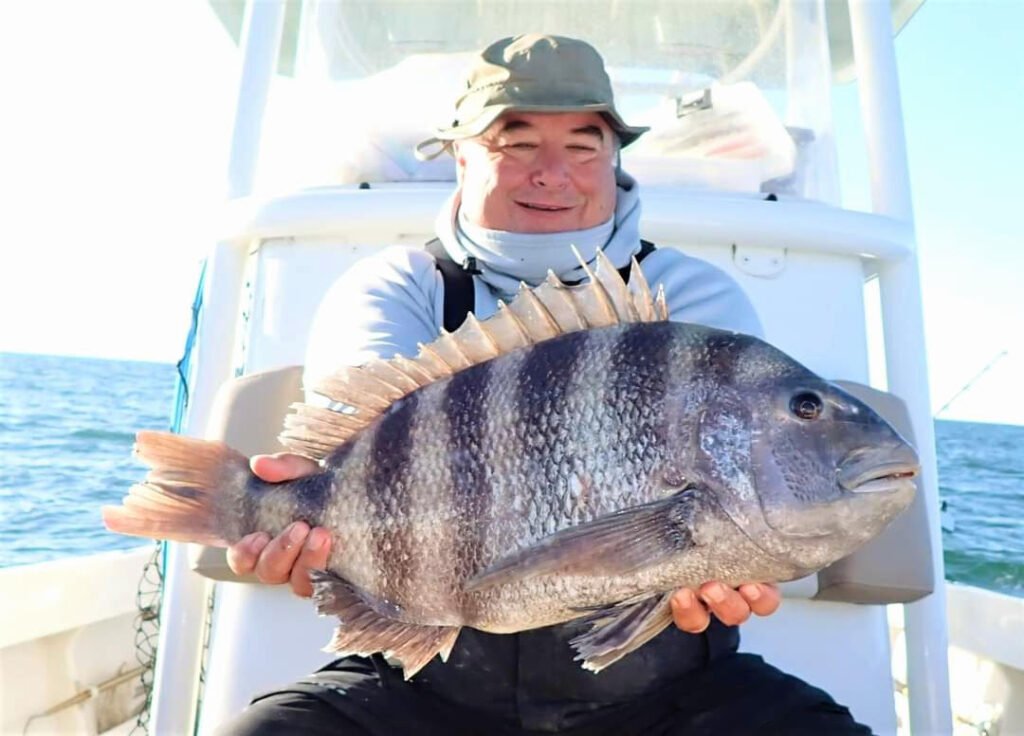 Virginia Saltwater Fishing Report - Fishing Reports, News, Charters