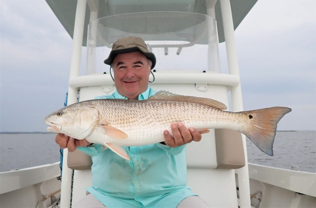 North Carolina Cobia and Grouper Seasons Reopen May 1