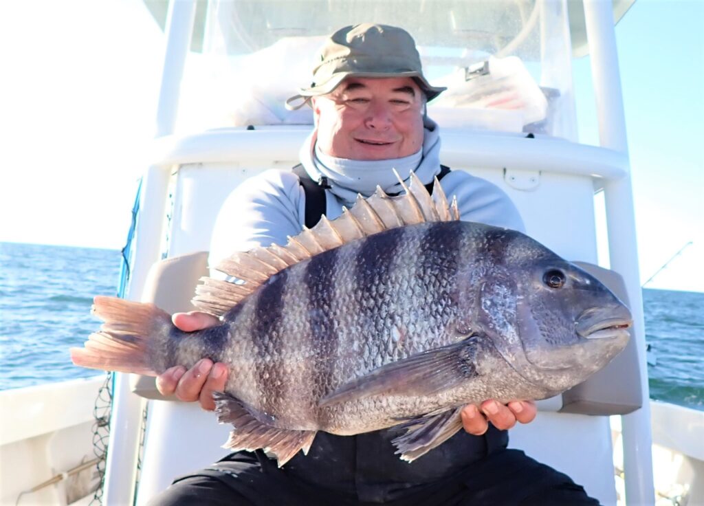 Chesapeake Bay Bridge Tunnel Sheepshead Tips - Fishing Reports