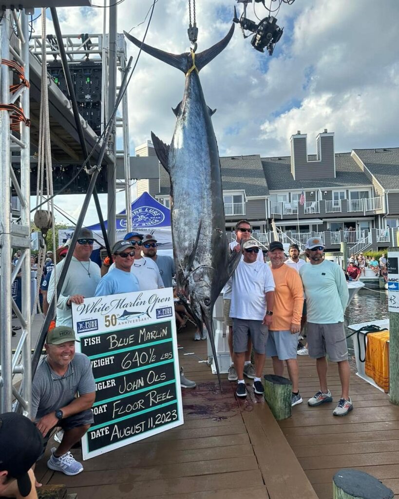 2025 White Marlin Open Winners Fishing Reports, News, Charters